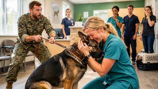 Don't Touch Her, She'll Attack The Captain At The Vet Smirked—Until The Vet Tech Knelt And His...