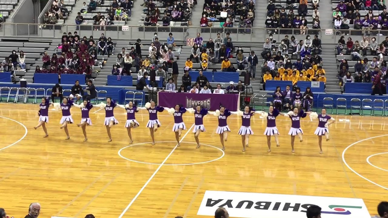 ワイヴァンズ 16/3/19 vs東京八王子 B☆SPARKY チアダンス
