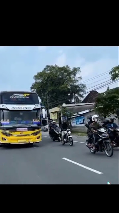 story WA keren bus mengunakan basuri pinguin