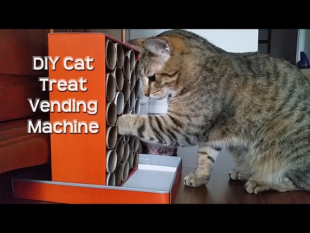 DIY Cat Treat Dispenser - Upcycled Free Cat Toy