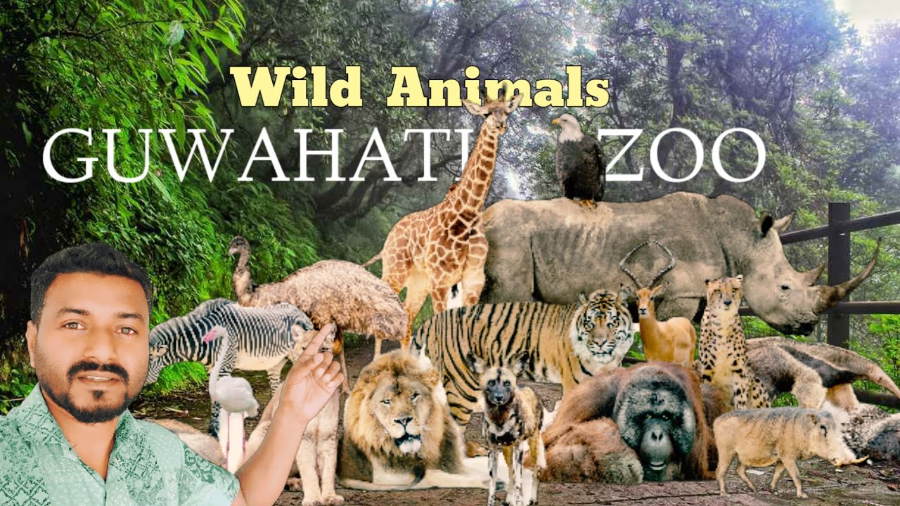 Guwahati Zoo | Guwahati Zoo 2024 | Guwahati Chiriakhana | Asam Guwahati Zoo Botanical Garden