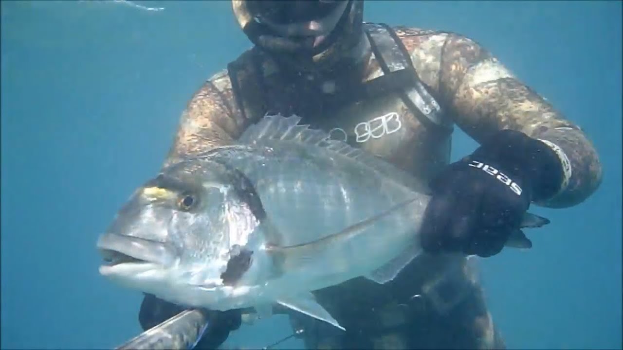 Pescasub: ORATONA XL