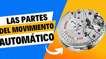 Guía para conocer las partes de un reloj automático