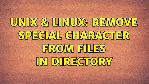 Unix & Linux: remove special character from files in directory