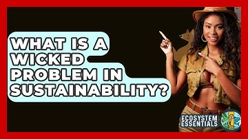What Is A Wicked Problem In Sustainability? - Ecosystem Essentials