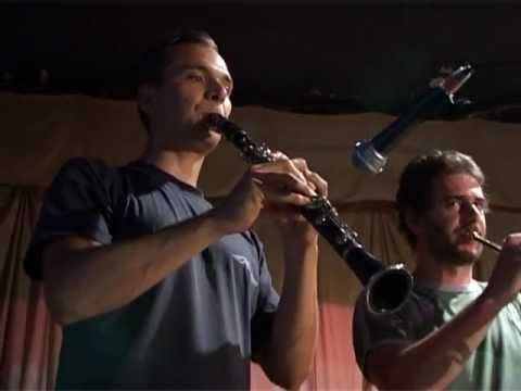 ავსტრიელი მუსიკოსები ილიაუნიში