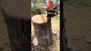 #treework #treeremoval #stihl #ilovemyjob #stihl462