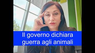 I CACCIATORI POTRANNO SPARARE OVUNQUE