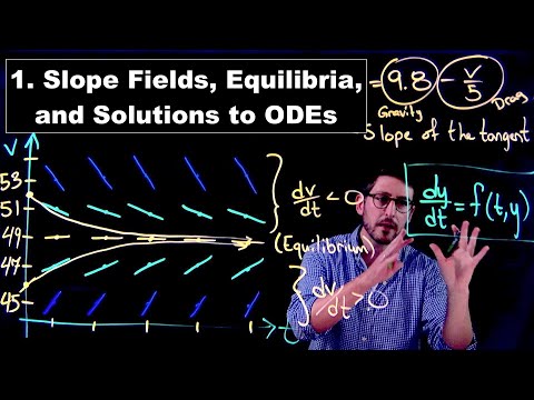 Slope Fields, Equilibria,
