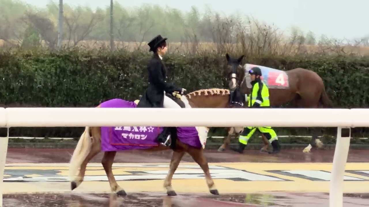 笠松競馬場　SKE48太田彩夏の笠馬X パドック誘導員デビュー