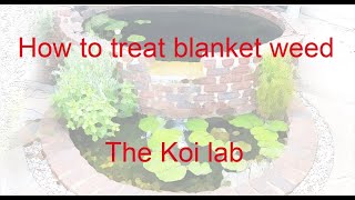 How To Clear Blanket Weed From Your Pond