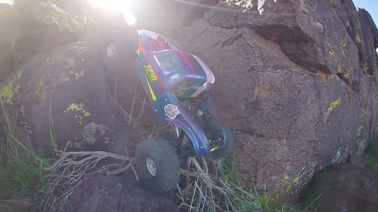 Arizona sun and Xp10 delight, 