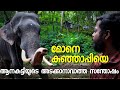        puthankulam ananthakrishnan elephant