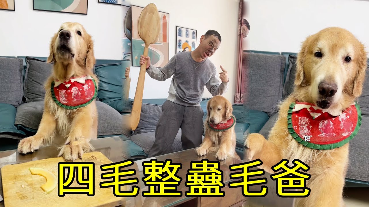 四毛：你竟敢得寸進尺，看我怎麼整你！ 【起錯名的四毛】