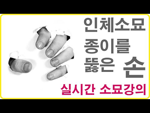 인체소묘 종이를 뚫은 손 실시간 강의