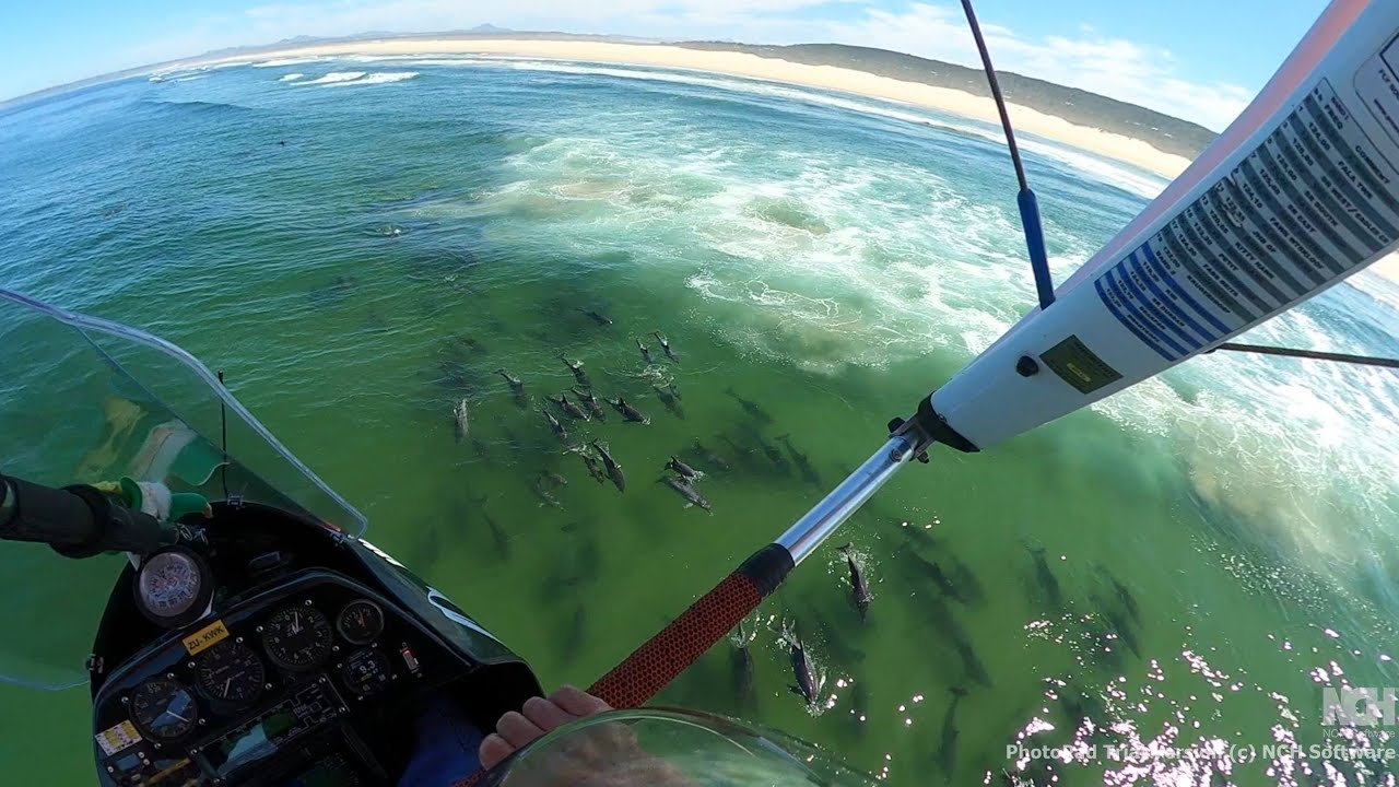 Heike's dolphin flight, March 2025