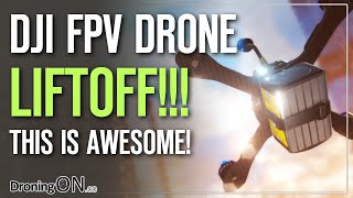 DJI FPV Drone Controller has a little SECRET - This is AWESOME (Liftoff)!! screenshot 5