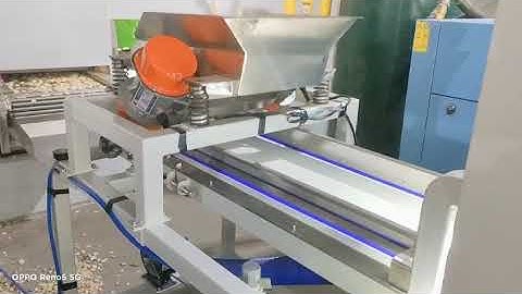 Garlic Color Sorter Machine