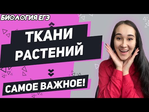 ОГЭ Биология 2022 | ЕГЭ | Ткани растений | Ты обязательно должен это знать