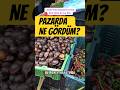😱 Malezya Pazarı’nda ŞOK! Canlı Salyangoz Satışı 🐌 Exotic Snails at Asian Market