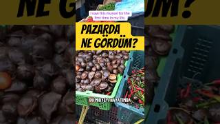😱 Malezya Pazarı’nda ŞOK! Canlı Salyangoz Satışı 🐌 Exotic Snails at Asian Market
