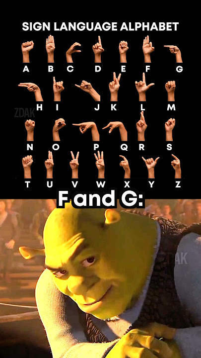 Sign language is crazy 💀