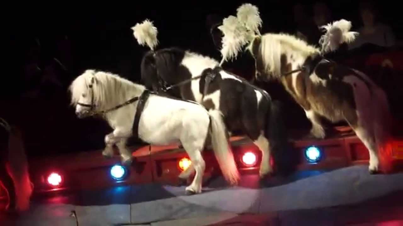 Ponies al Circo Moira Orfei
