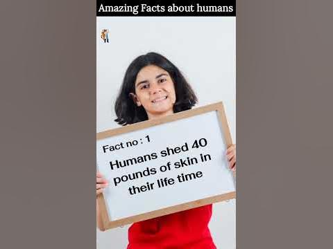 Chimpanzee and Human