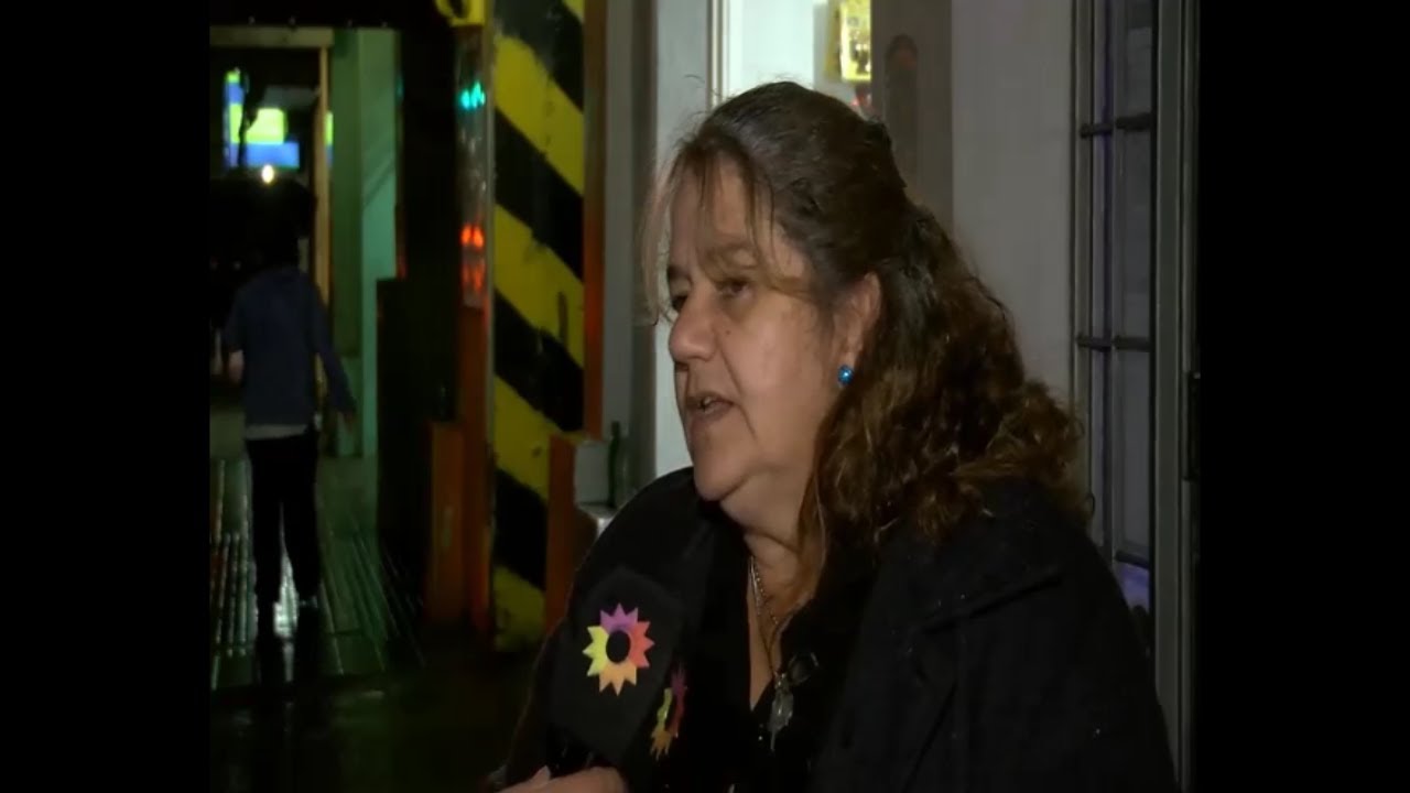 ATROPELLÓ A UN PERRO Y HUYÓ, LA PALABRA DE UNA ABOGADA PROTECCIONISTA