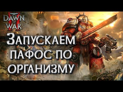 Video: Warhammer 40 000 Dawn Of War II: Kättemaks