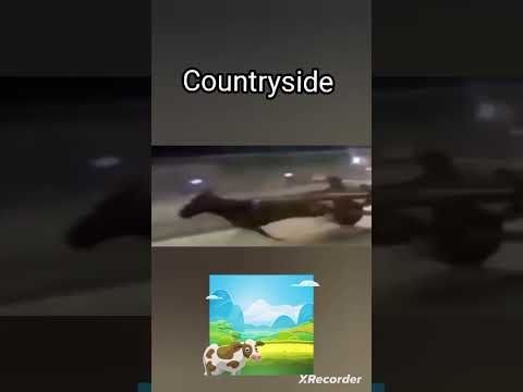 Listening to HCR2 OST be like... MEME 🎵