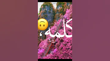 كلمه بحبك أسهل كلمه على لسانى تقدير لايك كومنت بالحب 