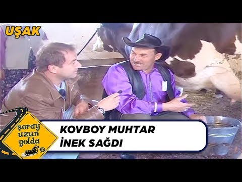 İnek Sağan Kovboy! - Şoray Uzun Yolda