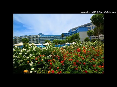 Video Session 16 - In-class-listening - Everybody Loves... - youtube