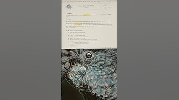 Recall Procedure Webinar (July 15)