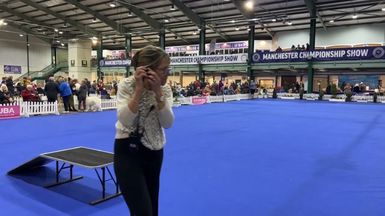 Manchester Dog Show - Pastoral Group