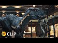 Indoraptor museum scene  jurassic world fallen kingdom 2018 movie clip 4k