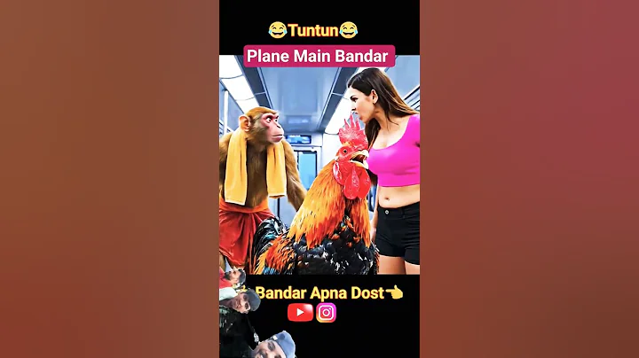 Video 11350981: cat funny game