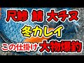尺アジ、サバ、年無しチヌ　冬の小座布団カレイ、このサビキ仕掛け、よくある漁港湾内で大物爆釣（荒ぶる漁港後編）