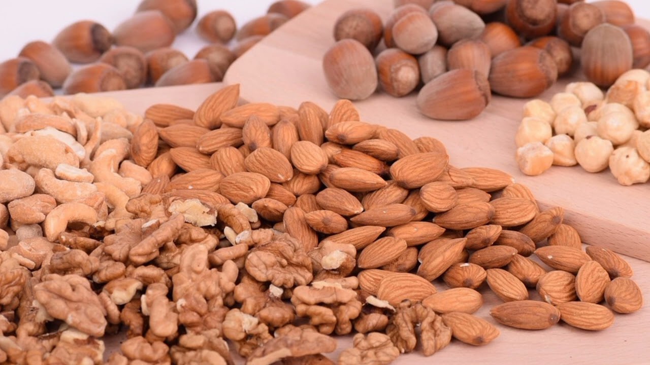 histidine important protein