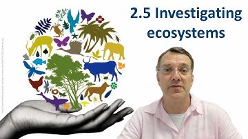 The Ultimate Guide to Ecosystem Investigation: ESS Topic 2.5 (2017 syllabus)