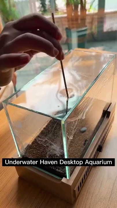 ⭐ Product Link in Comments ⭐Mini Underwater Haven Desktop Aquarium