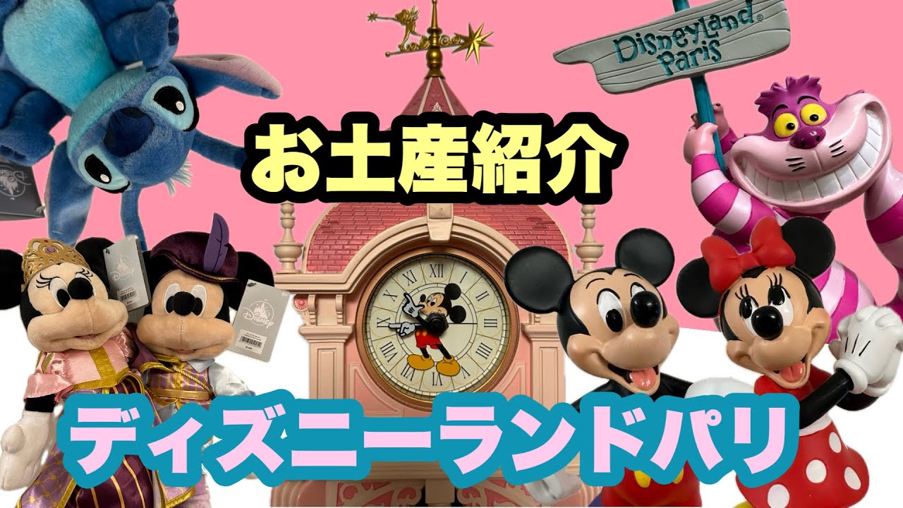 【お土産】ディズニーランドパリ&フランス購入品紹介
