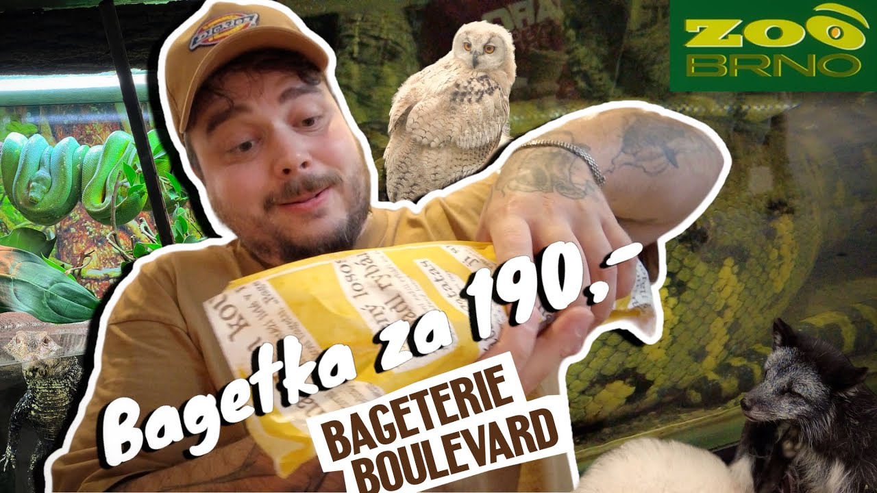 OBROVSKÁ ANAKONDA A BAGETA S DVOJITOU PORCÍ MASA!