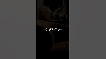 سورة الزلزلة للشيخ عبدالمحسن القاسم.