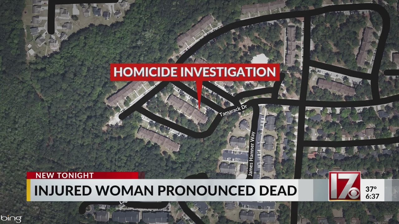 Slain woman found amid Fayetteville missing person call - YouTube