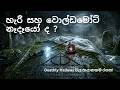 මරණයේ තිළිණවල (Deathly Hallows) සැබෑ ඉතිහාසය සහ පෙවරල් පවුල | Harry Potter Sinhala