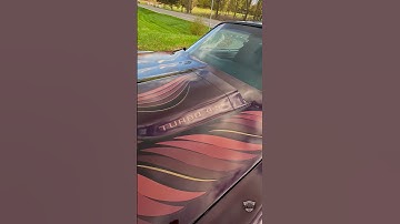 This 1980 Trans Am Came Factory With a Turbo!