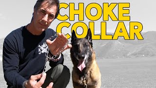 Most Important Things to Know about a Choke Collar  Robert Cabral Dog Training Video