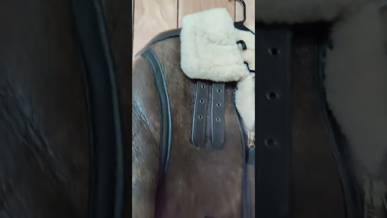 Resident Evil 4 Remake: Leon's jacket